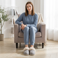Cozy Plush Slippers for Women - Your Perfect Autumn and Winter Companion
