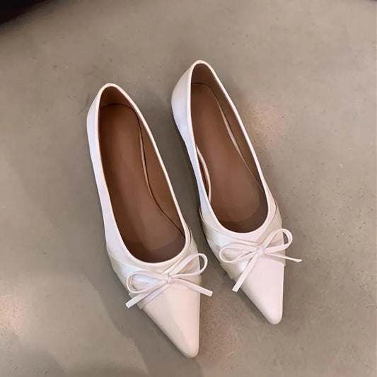 SaneShoppe-2026 Ballet-Style Pointed Toe Flats - Soft Sole Mary Jane Shoes for Women