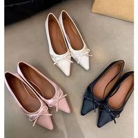 SaneShoppe-2026 Ballet-Style Pointed Toe Flats - Soft Sole Mary Jane Shoes for Women