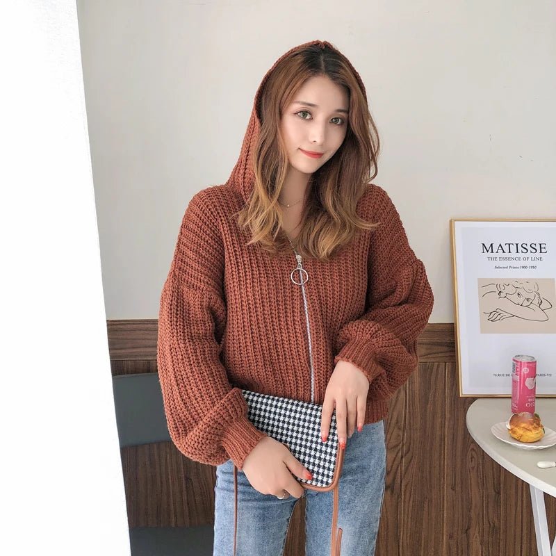 SaneShoppe - Autumn and Winter Hooded Loose Cardigan Sweater New Women's Solid Color Zipper Tops Long Sleeve Fashion Casual Knitwear Clothing