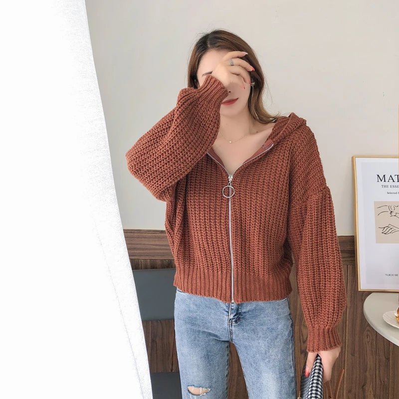SaneShoppe - Autumn and Winter Hooded Loose Cardigan Sweater New Women's Solid Color Zipper Tops Long Sleeve Fashion Casual Knitwear Clothing