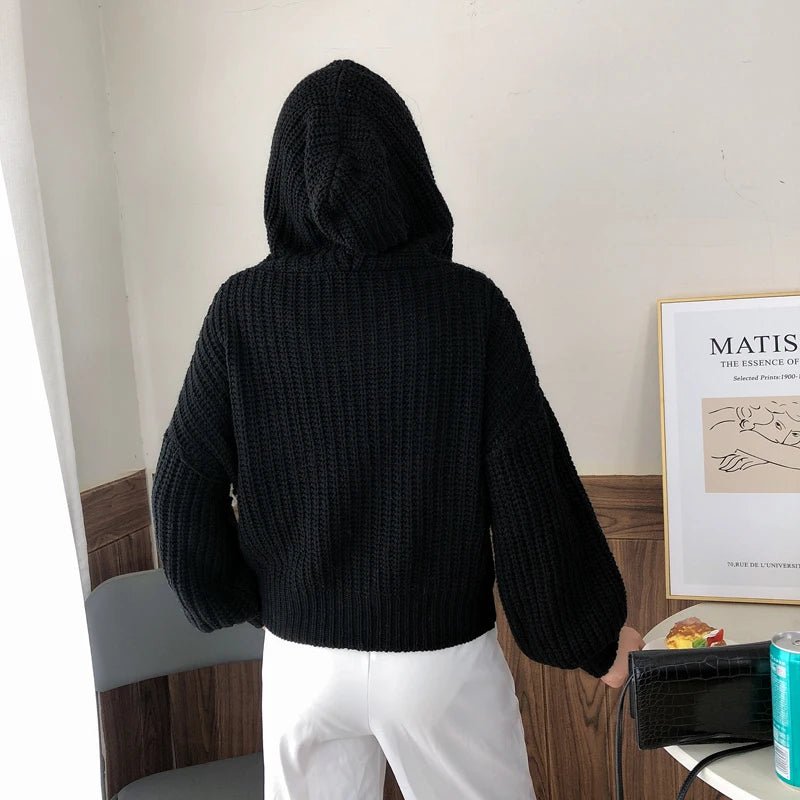 SaneShoppe - Autumn and Winter Hooded Loose Cardigan Sweater New Women's Solid Color Zipper Tops Long Sleeve Fashion Casual Knitwear Clothing