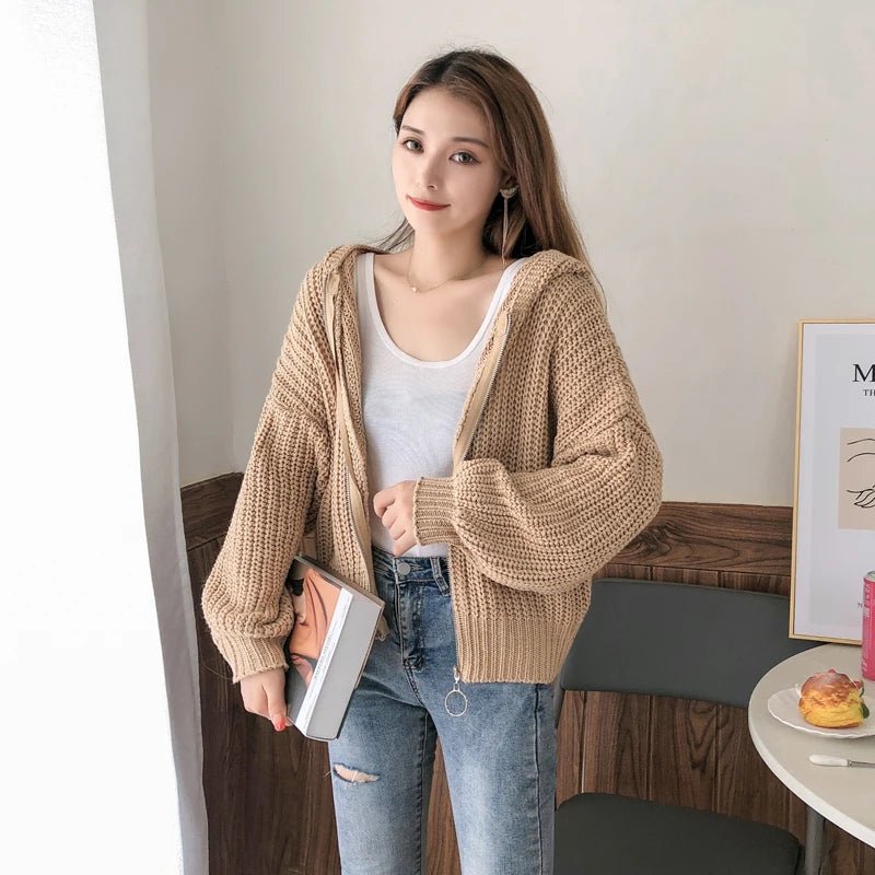 SaneShoppe - Autumn and Winter Hooded Loose Cardigan Sweater New Women's Solid Color Zipper Tops Long Sleeve Fashion Casual Knitwear Clothing