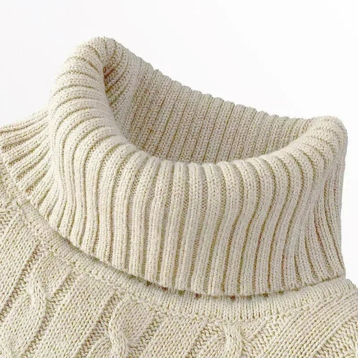 SaneShoppe - Autumn Men's Long Sleeve Knitted Sweaters Men's Slim Fit Turtleneck Sweater Casual Pullover Sweater Lightweight Ribbed Sweater