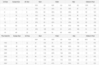 SaneShoppe - Elegant Straples Prom Dress Satin Floral Applique Embellished Bodice Gown Customized فسا تين سهرات Evening Dress