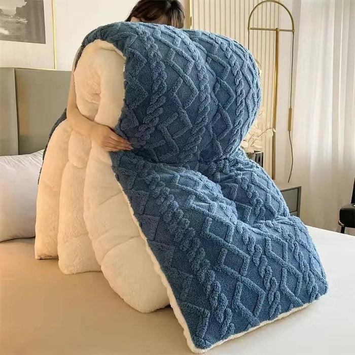 SaneShoppe - Lamb wool blanket thickened warm winter quilt with milk velvet spring autumn comforter student dormitory single double quilt