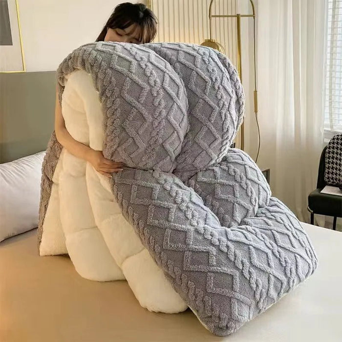 SaneShoppe - Lamb wool blanket thickened warm winter quilt with milk velvet spring autumn comforter student dormitory single double quilt
