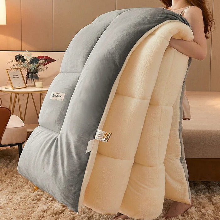 SaneShoppe - Lamb wool blanket winter thickened quilt super warm 5kg thick comforter winter spring autumn single double milk velvet blanket