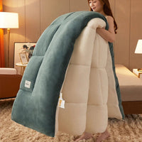 SaneShoppe - Lamb wool blanket winter thickened quilt super warm 5kg thick comforter winter spring autumn single double milk velvet blanket