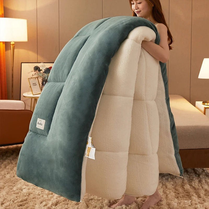 SaneShoppe - Lamb wool blanket winter thickened quilt super warm 5kg thick comforter winter spring autumn single double milk velvet blanket