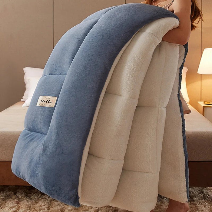 SaneShoppe - Lamb wool blanket winter thickened quilt super warm 5kg thick comforter winter spring autumn single double milk velvet blanket