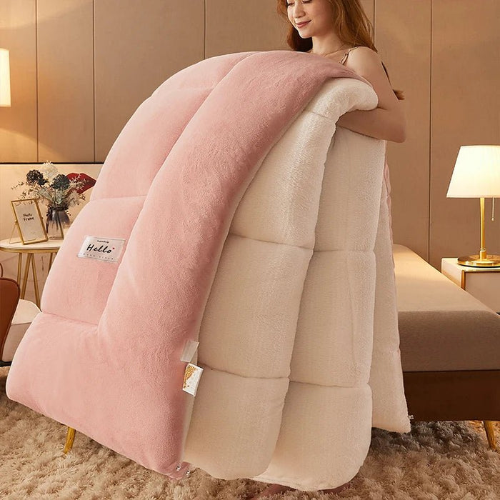 SaneShoppe - Lamb wool blanket winter thickened quilt super warm 5kg thick comforter winter spring autumn single double milk velvet blanket