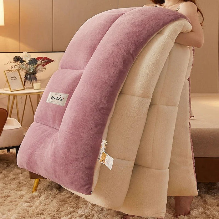 SaneShoppe - Lamb wool blanket winter thickened quilt super warm 5kg thick comforter winter spring autumn single double milk velvet blanket
