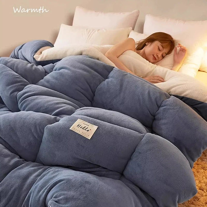 SaneShoppe - Lamb wool blanket winter thickened quilt super warm 5kg thick comforter winter spring autumn single double milk velvet blanket