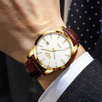 SaneShoppe-LIGE Men's Military Sports Quartz Watch - Brown Leather Waterproof Chronograph
