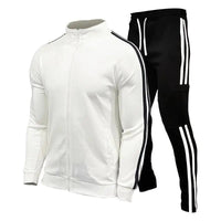 SaneShoppe - New men's cardigan stand up collar sports suit youth sportswear casual slim fit running sports two - piece set