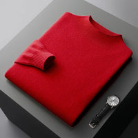SaneShoppe - New Men's Fashion Casual Wool Sweater Warm Autumn And Winter Semi - High Neck Knitted Bottoming Shirt