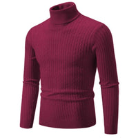 SaneShoppe - New Men's High Neck Sweater Solid Color Pullover Knitted Warm Casual Turtleneck Sweatwear Woolen Mens Winter Outdoor Tops