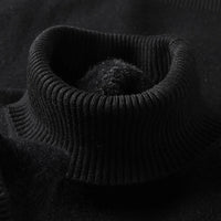 SaneShoppe - Sweatwear Mens Anti - pilling High Quality Knitted Turtleneck Sweater Slim Fit Long Sleeve Pullover Solid Color Trend Men Clothing