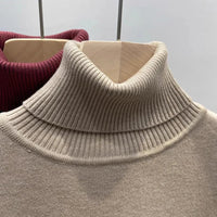 SaneShoppe-Korean Style Turtleneck Sweater Women's Thick Velvet Knit Pullover
