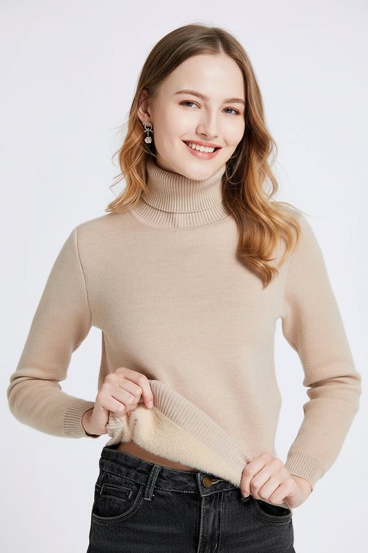 SaneShoppe-Korean Style Turtleneck Sweater Women's Thick Velvet Knit Pullover