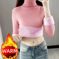 SaneShoppe - Turtleneck Winter Sweater Women Elegant Thicken Velvet Lined Warm Sueter Fleece Knitted Pullover Slim Top Jersey Knitwear Jumper