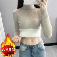 SaneShoppe - Turtleneck Winter Sweater Women Elegant Thicken Velvet Lined Warm Sueter Fleece Knitted Pullover Slim Top Jersey Knitwear Jumper