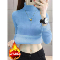 SaneShoppe - Turtleneck Winter Sweater Women Elegant Thicken Velvet Lined Warm Sueter Fleece Knitted Pullover Slim Top Jersey Knitwear Jumper