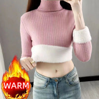 SaneShoppe - Turtleneck Winter Sweater Women Elegant Thicken Velvet Lined Warm Sueter Fleece Knitted Pullover Slim Top Jersey Knitwear Jumper