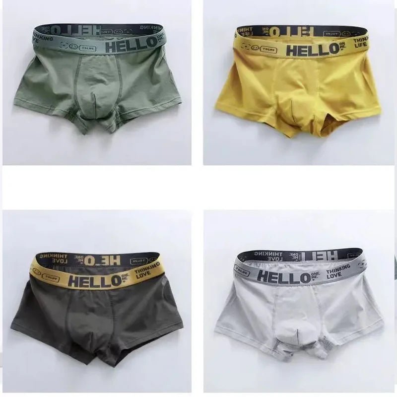 Boxer14:193#E;154:3464;5:100014065#XL50 - 60kg