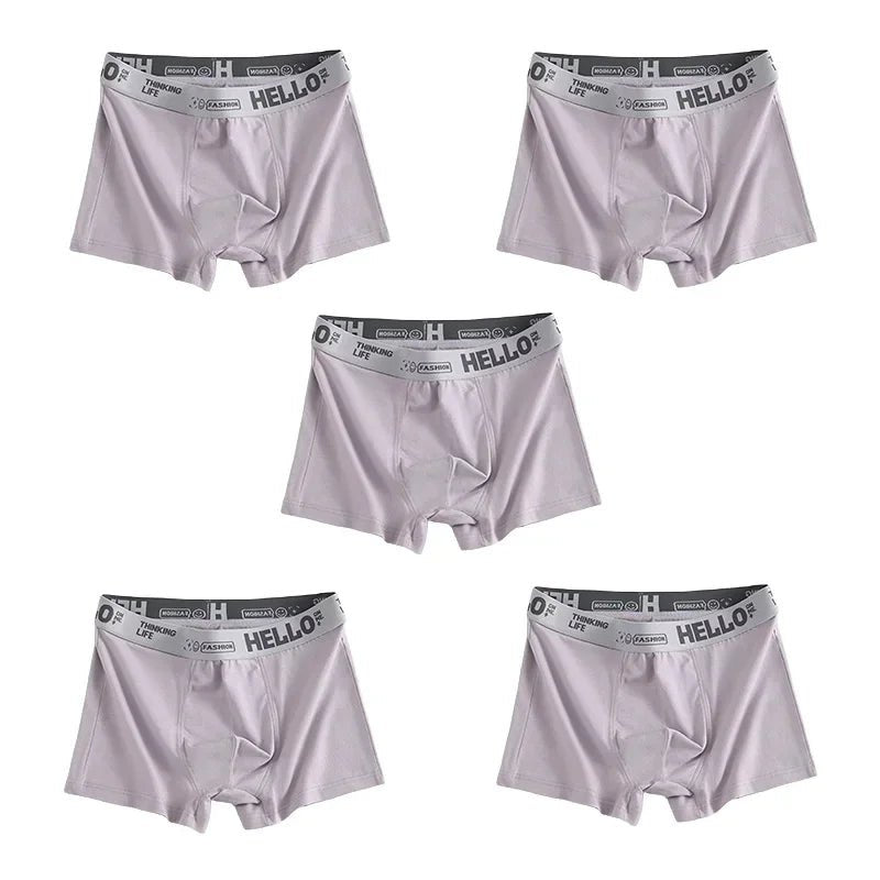 Boxer14:200002130#5pc Light gray;5:361385#L 45kg - 55kg