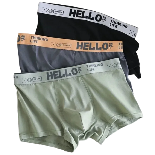 SaneShoppe - 1/5pcs Men's Underwear, Breathable Comfy Quick Drying Stretchy Boxer Trunks
