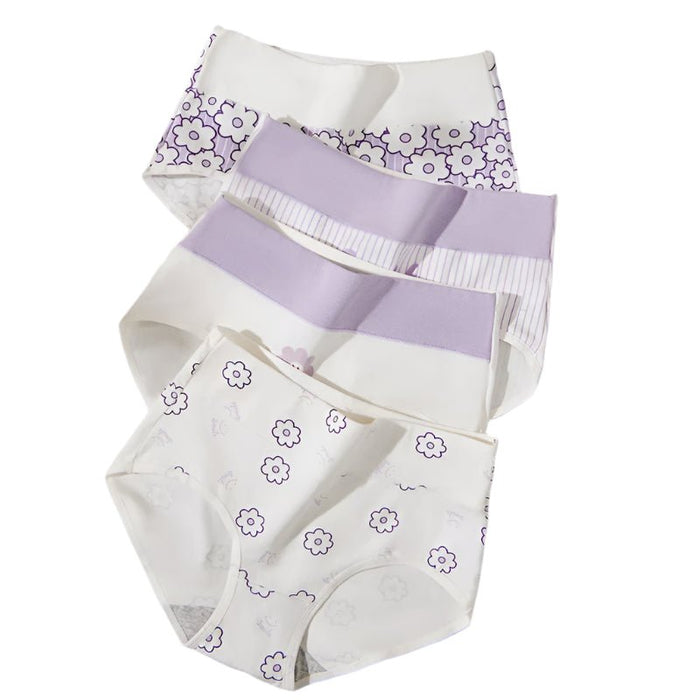 SaneShoppe - 4 - Pack Women's Plus Size Cotton Underwear Breathable Briefs